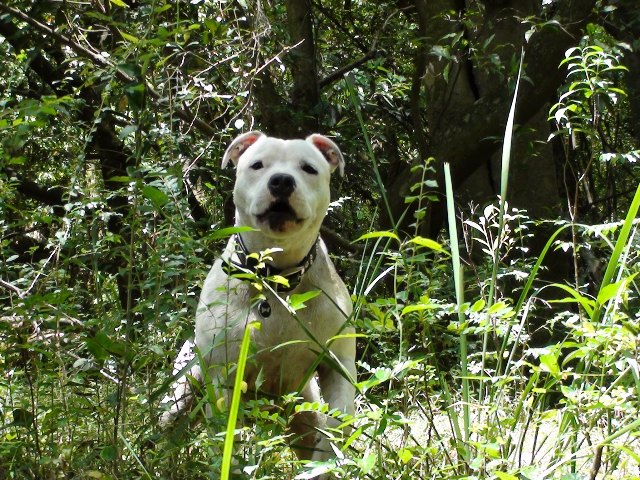  Lilcracka Lenny aka Casper   